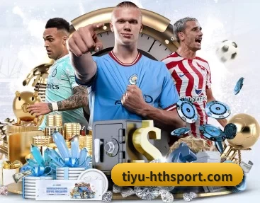 tiyu-hthsport.com APP