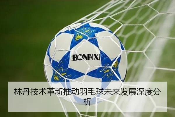 林丹技术革新推动羽毛球未来发展深度分析