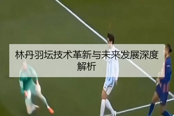 林丹羽坛技术革新与未来发展深度解析
